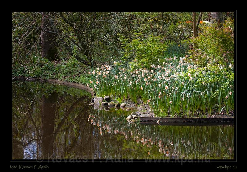 Keukenhof Hollandia 013.jpg